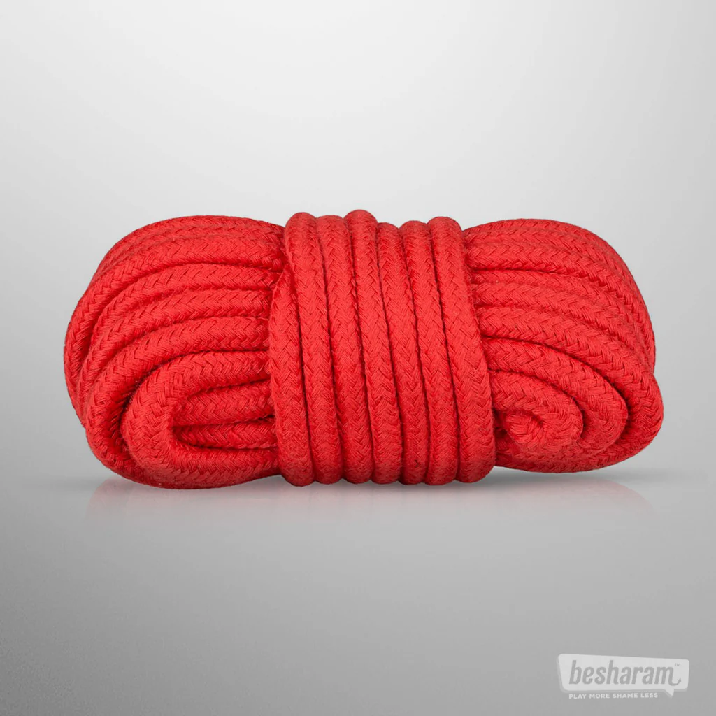 Secret Pleasure Chest Red Dragon BDSM Set - Image 6